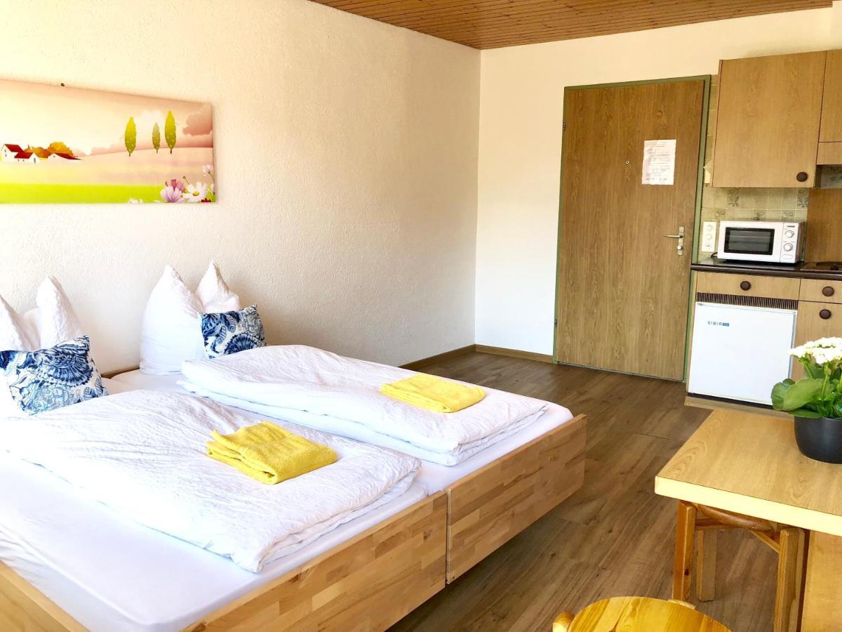 Central Beauty Scenery Apartment Interlaken Buitenkant foto