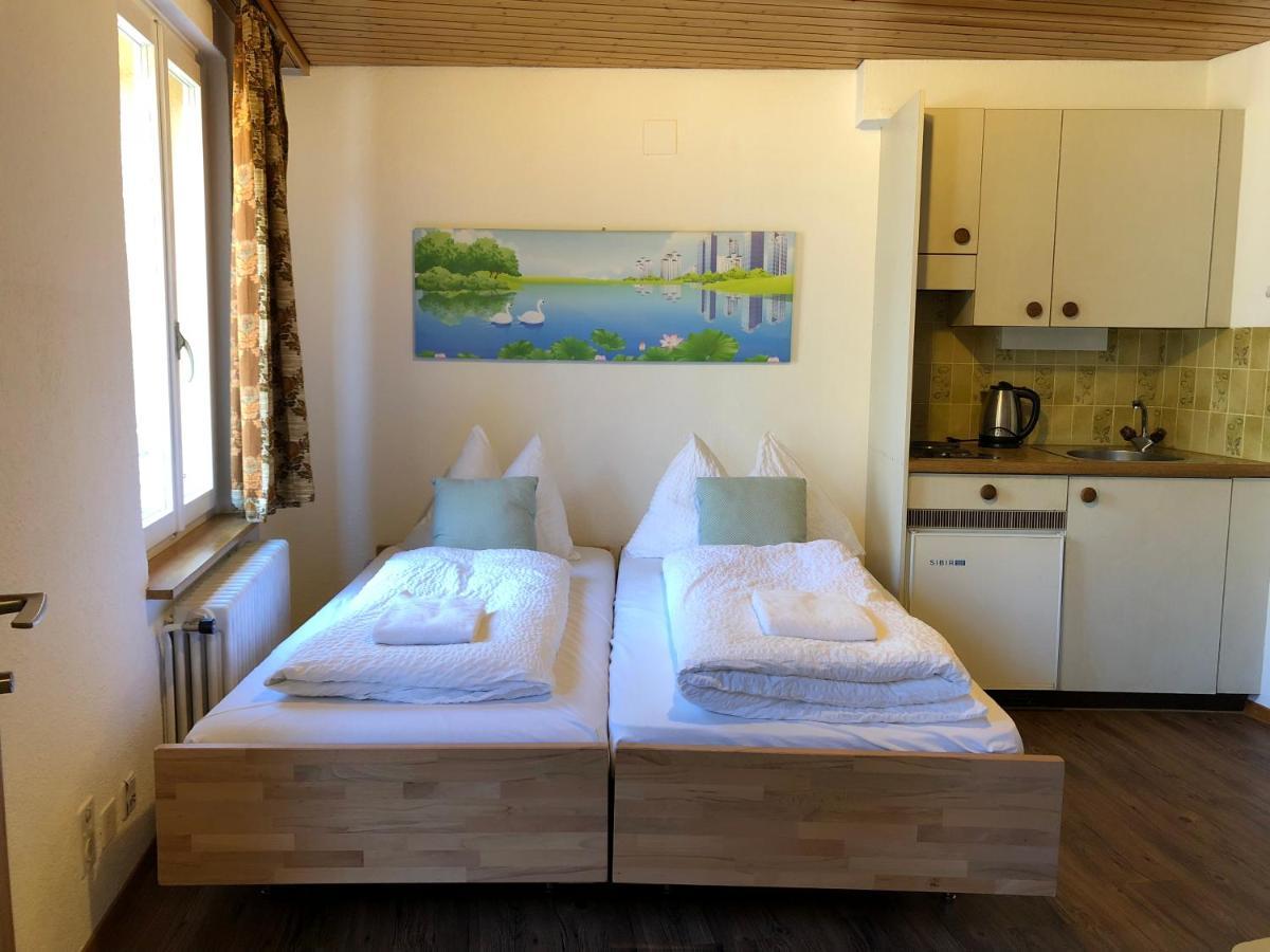 Central Beauty Scenery Apartment Interlaken Buitenkant foto