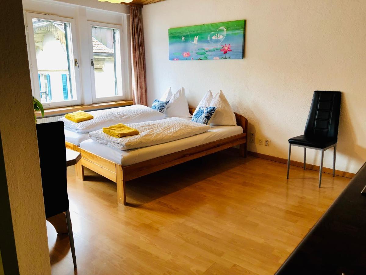 Central Beauty Scenery Apartment Interlaken Buitenkant foto