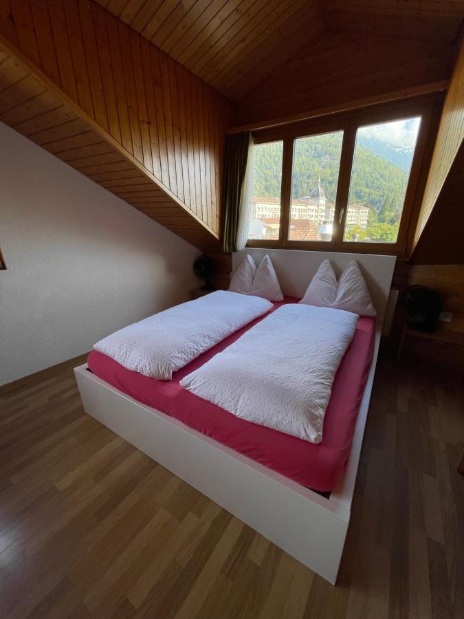 Central Beauty Scenery Apartment Interlaken Buitenkant foto