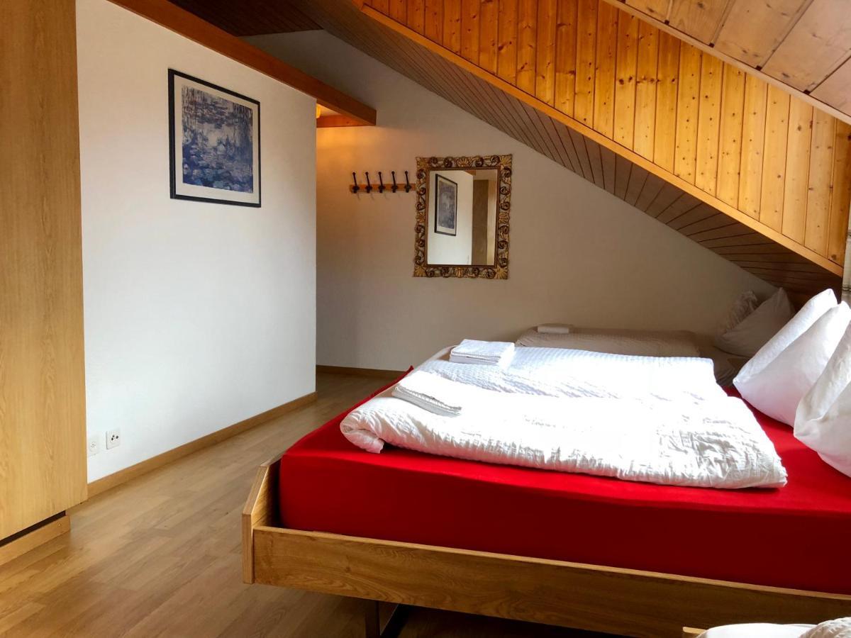 Central Beauty Scenery Apartment Interlaken Buitenkant foto