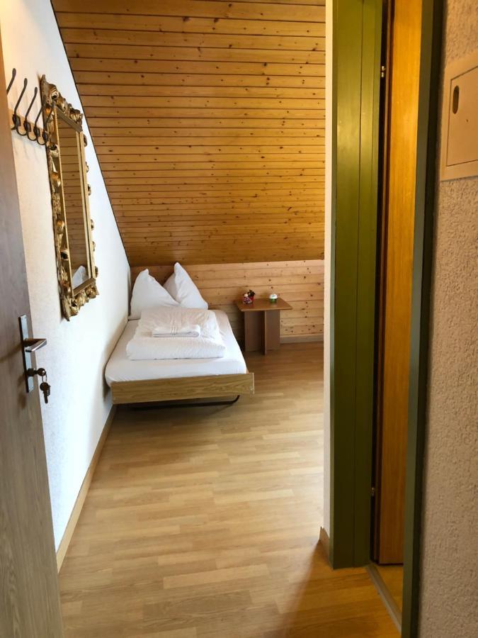 Central Beauty Scenery Apartment Interlaken Buitenkant foto